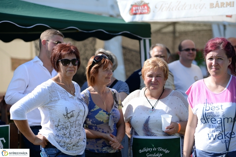 Magyarok Kenyere Program-adományátadás Apagyon