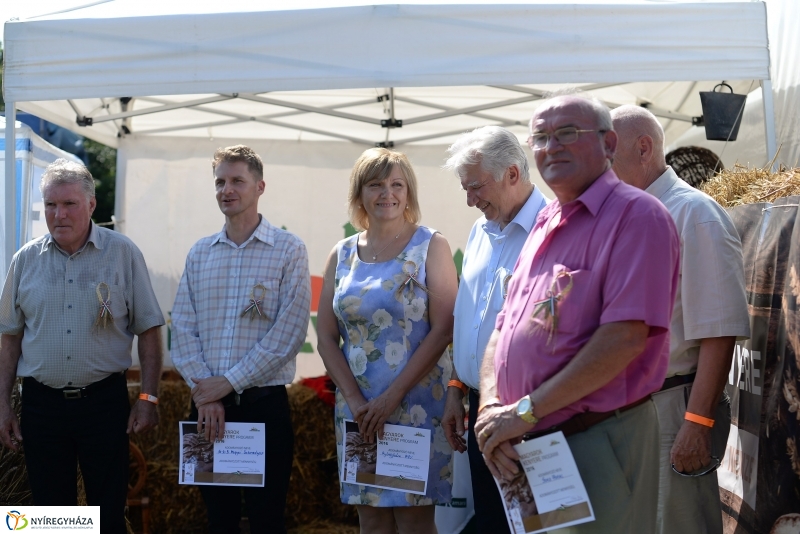 Magyarok Kenyere Program-adományátadás Apagyon