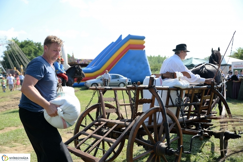 Magyarok Kenyere Program-adományátadás Apagyon