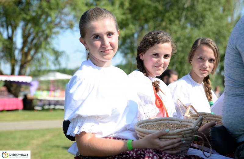 Magyarok Kenyere Program-adományátadás Apagyon