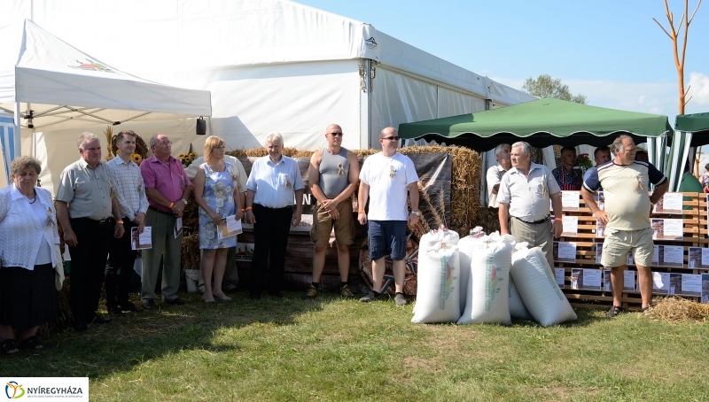 Magyarok Kenyere Program-adományátadás Apagyon