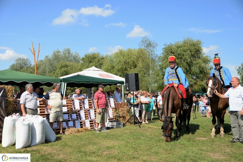 Magyarok Kenyere Program-adományátadás Apagyon