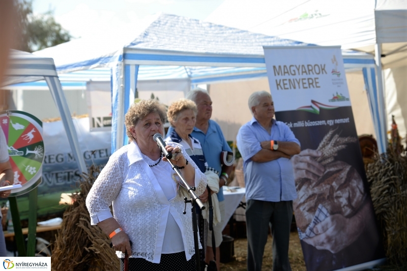 Magyarok Kenyere Program-adományátadás Apagyon