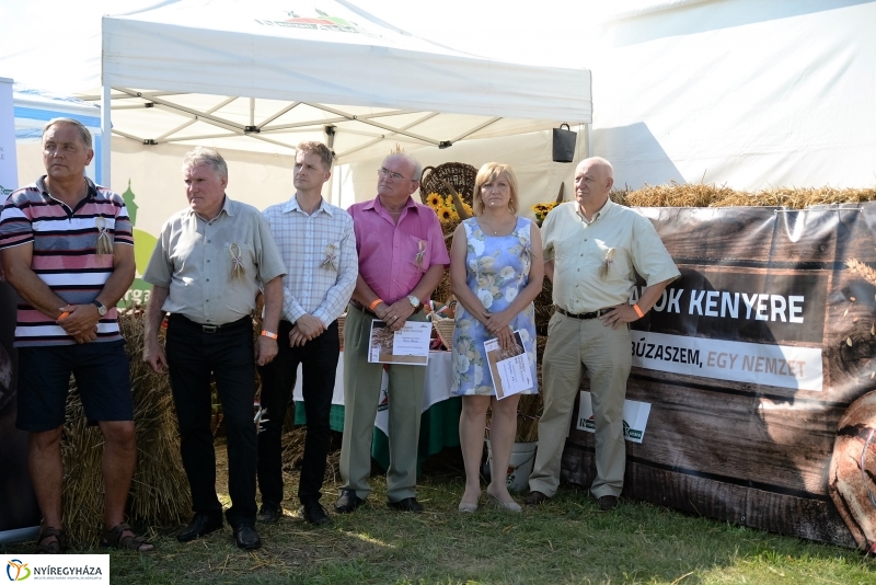 Magyarok Kenyere Program-adományátadás Apagyon