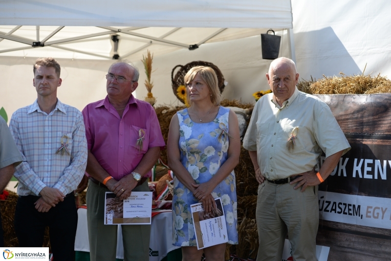 Magyarok Kenyere Program-adományátadás Apagyon