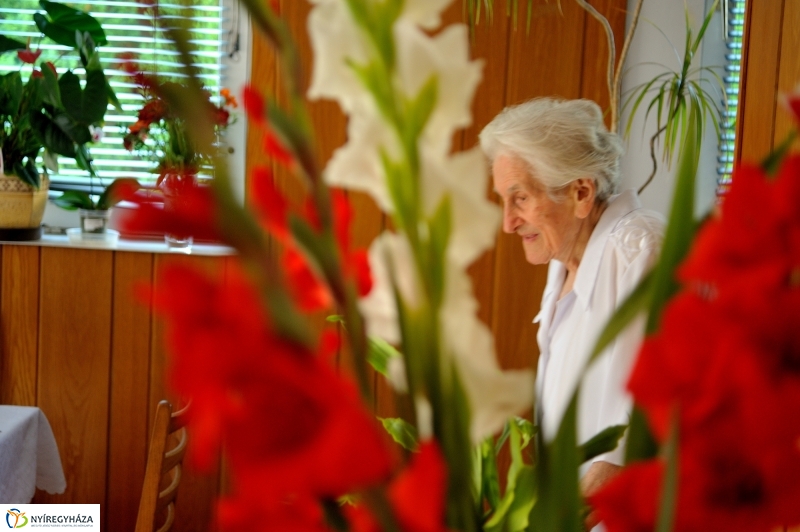 Szépkorú köszöntése - Gál Sára Amália