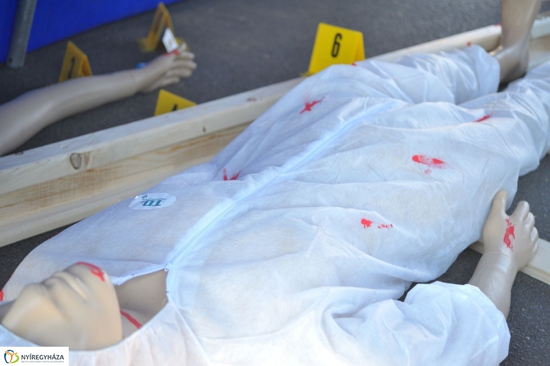 Helyszínelő verseny