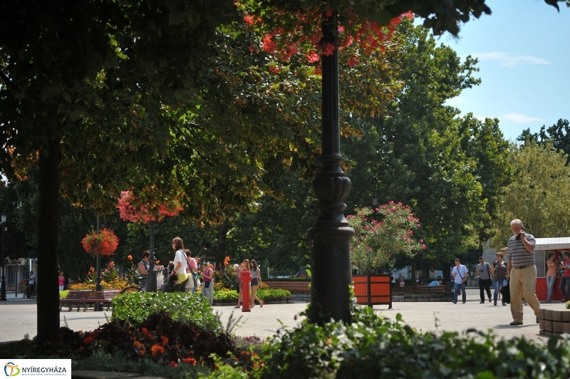 Belváros, nyár, virágok