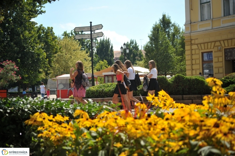 Belváros, nyár, virágok