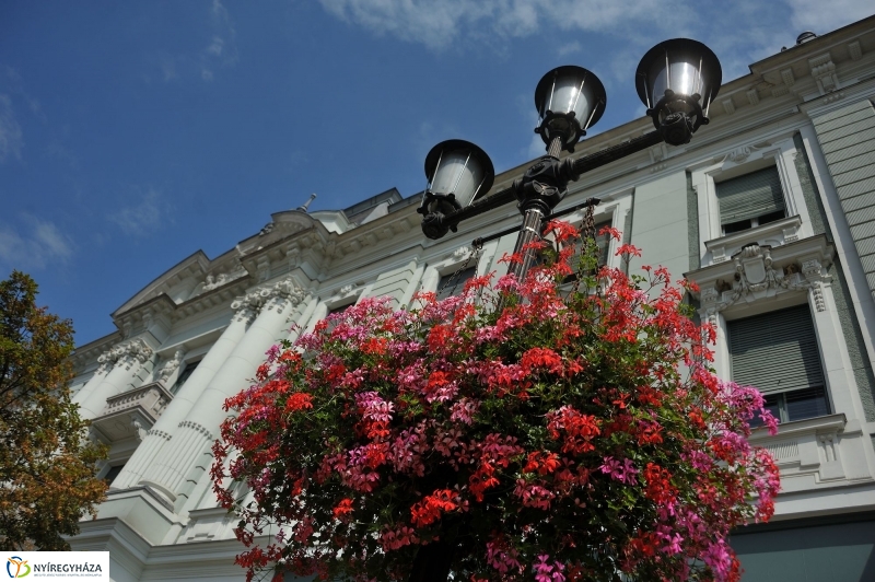 Belváros, nyár, virágok