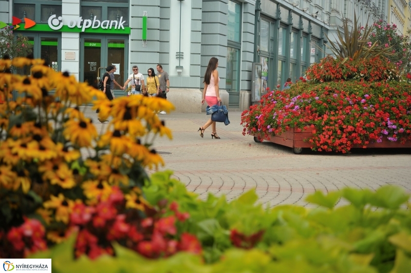 Belváros, nyár, virágok