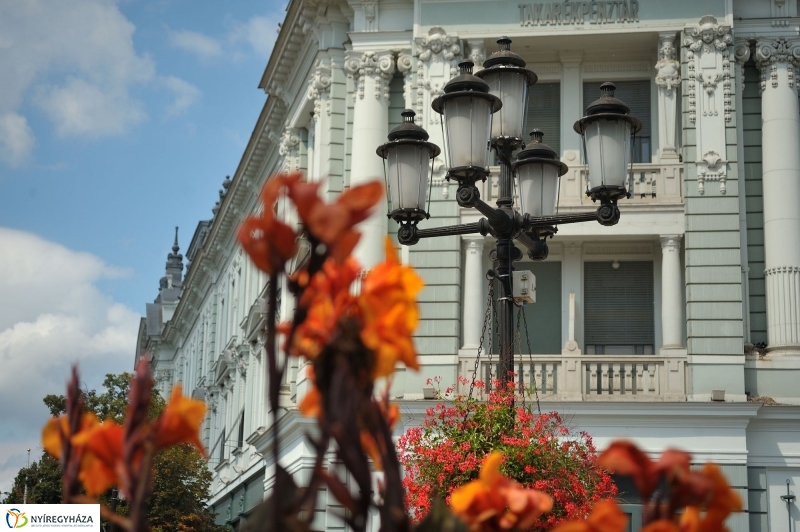 Belváros, nyár, virágok