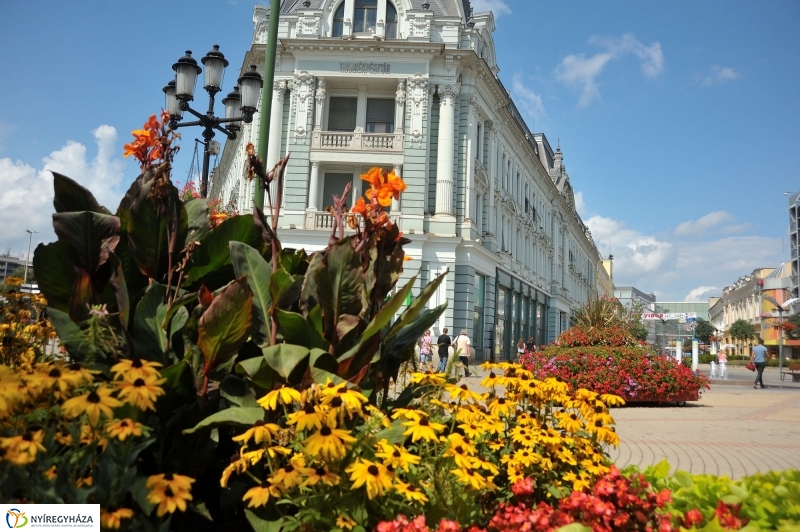 Belváros, nyár, virágok
