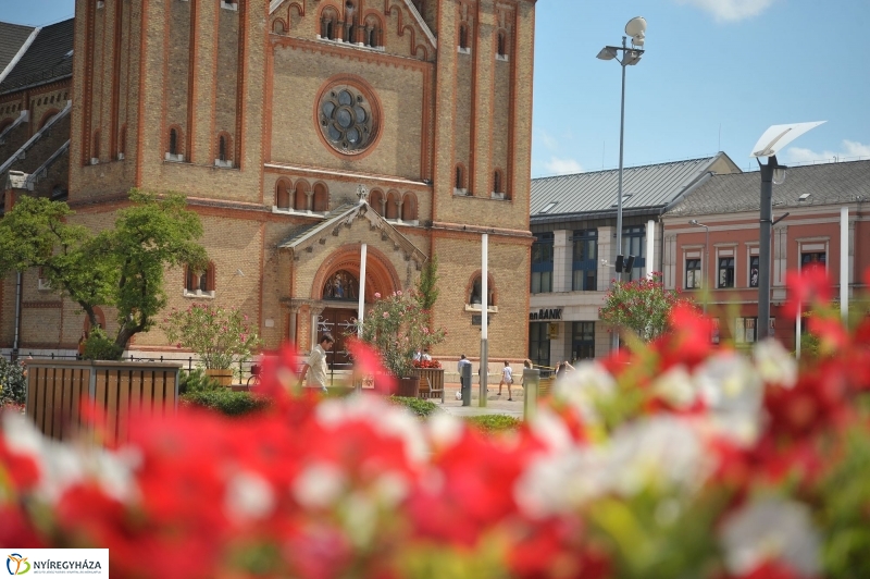 Belváros, nyár, virágok