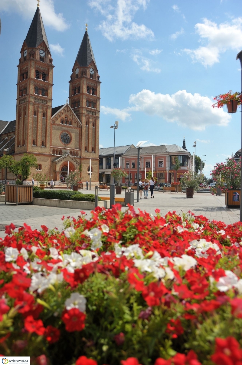 Belváros, nyár, virágok