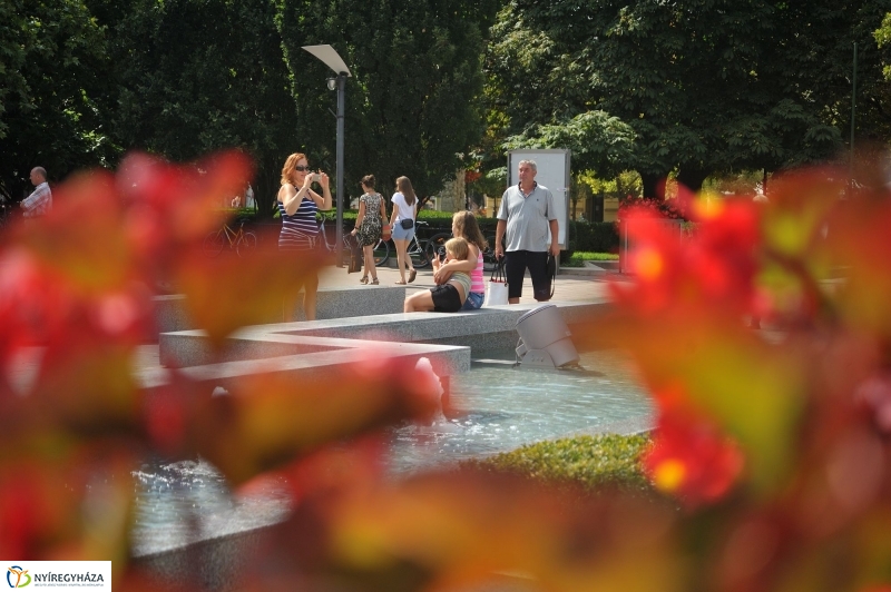 Belváros, nyár, virágok