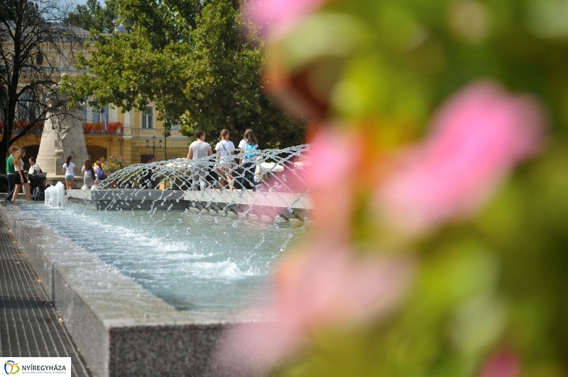 Belváros, nyár, virágok