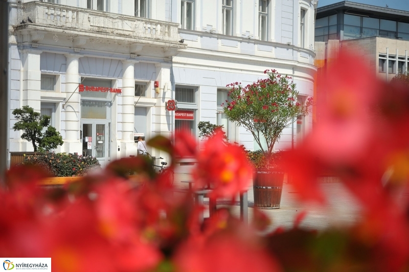 Belváros, nyár, virágok