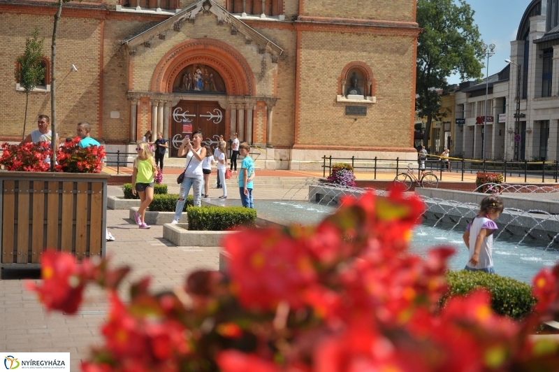 Belváros, nyár, virágok