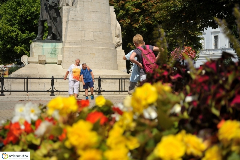 Belváros, nyár, virágok