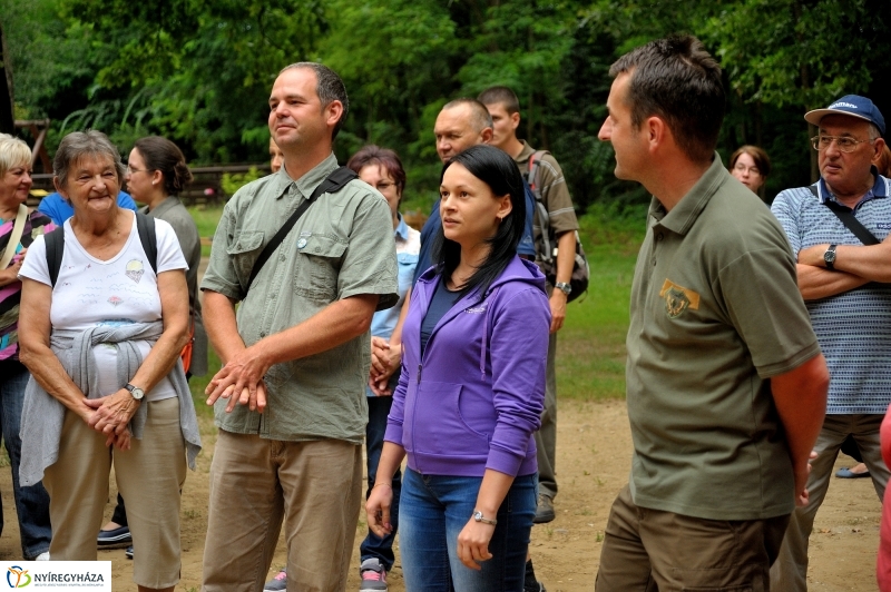 Értékes Esték - Séta a Sóstói erdőben
