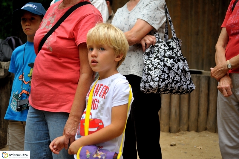 Értékes Esték - Séta a Sóstói erdőben