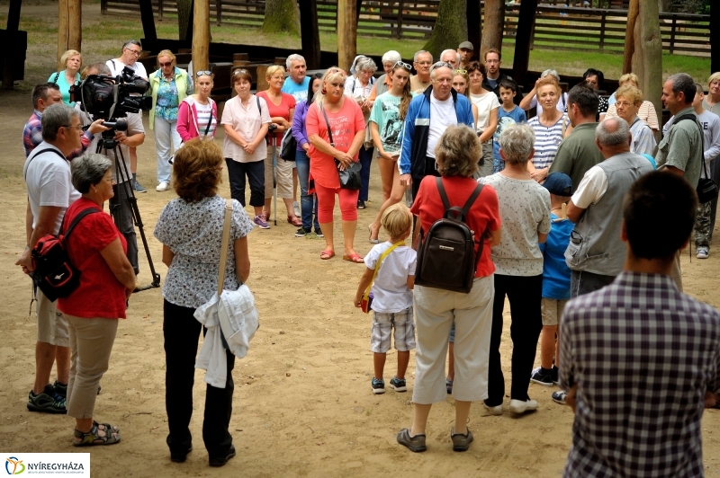 Értékes Esték - Séta a Sóstói erdőben
