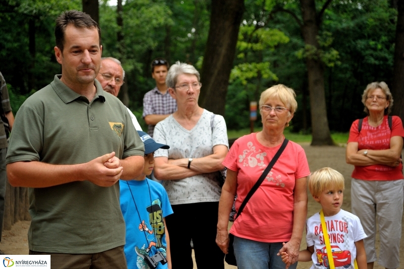Értékes Esték - Séta a Sóstói erdőben