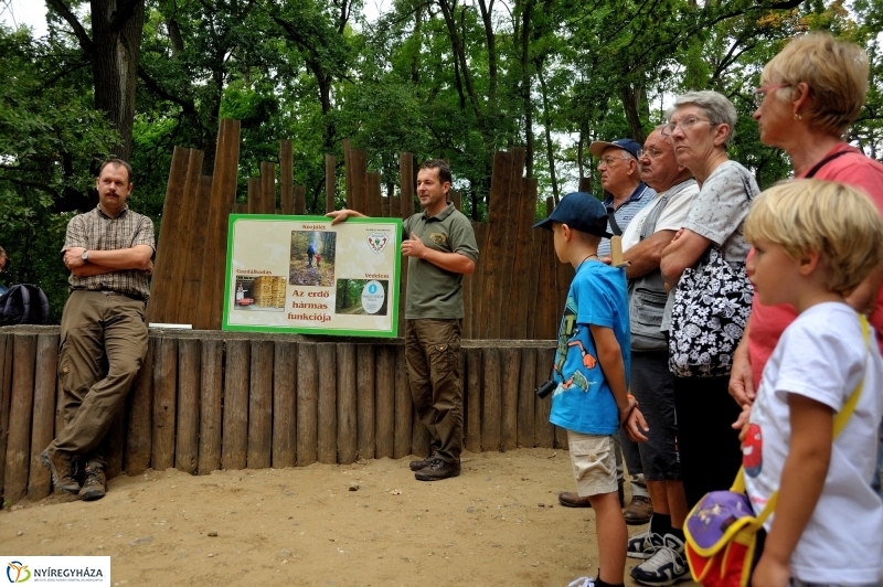 Értékes Esték - Séta a Sóstói erdőben