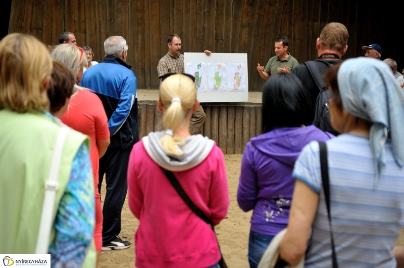 Értékes Esték - Séta a Sóstói erdőben