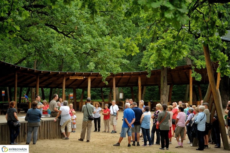 Értékes Esték - Séta a Sóstói erdőben