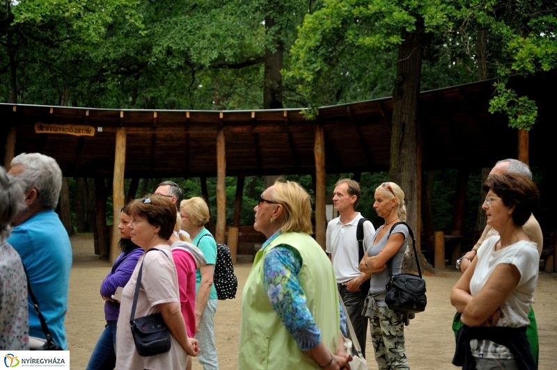 Értékes Esték - Séta a Sóstói erdőben