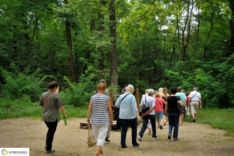 Értékes Esték - Séta a Sóstói erdőben