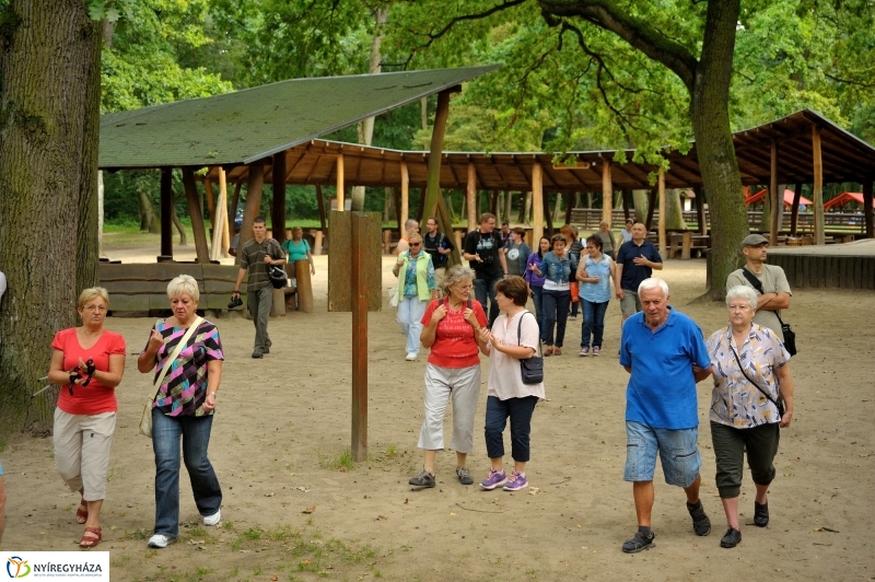 Értékes Esték - Séta a Sóstói erdőben