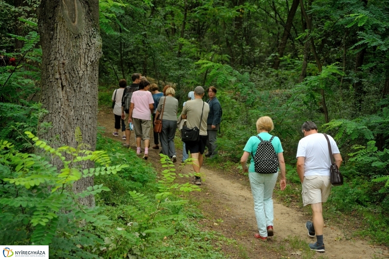 Értékes Esték - Séta a Sóstói erdőben