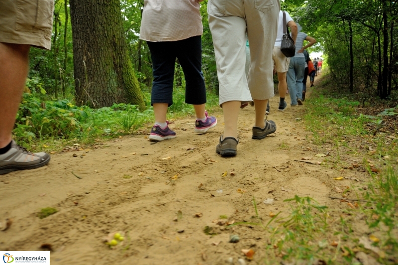 Értékes Esték - Séta a Sóstói erdőben