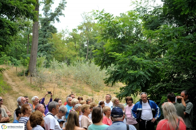 Értékes Esték - Séta a Sóstói erdőben