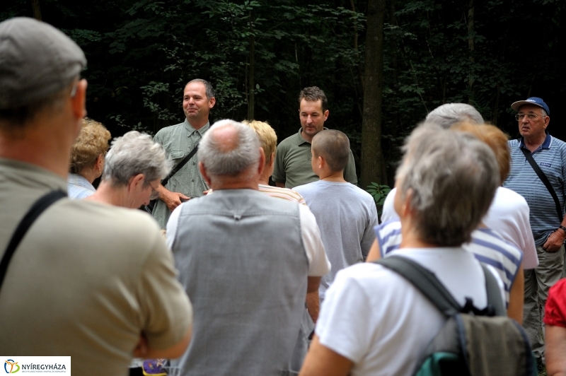 Értékes Esték - Séta a Sóstói erdőben