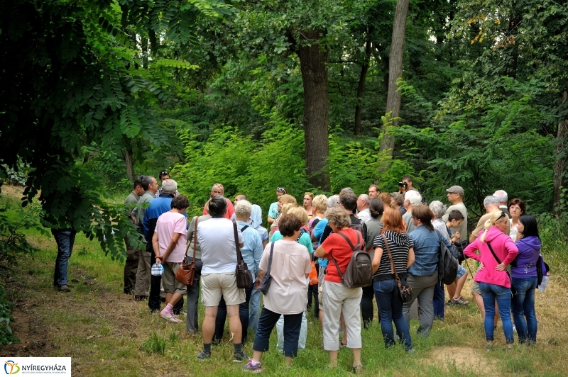 Értékes Esték - Séta a Sóstói erdőben