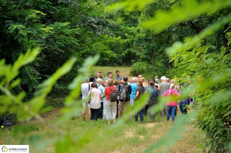 Értékes Esték - Séta a Sóstói erdőben