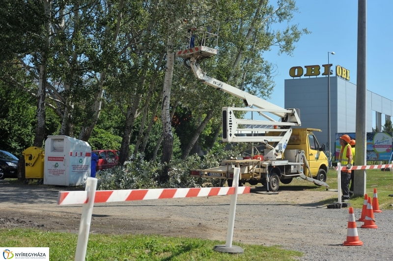 Elkezdődött a beruházás a Szegfű utcán II.