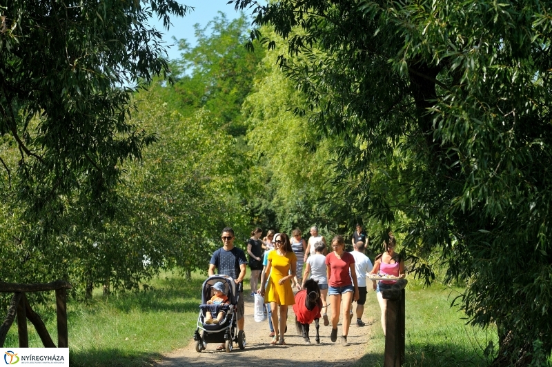 Új kenyér ünnepe a múzeumfaluban