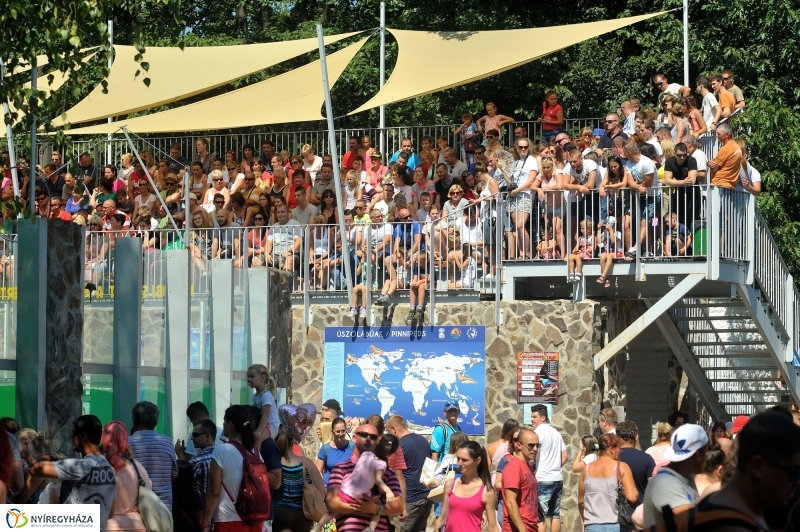 Állatparki programok augusztus 20-án