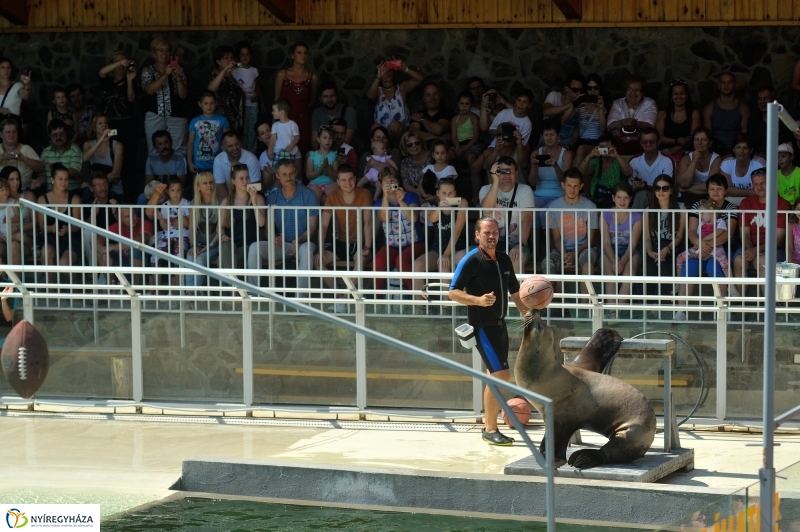 Állatparki programok augusztus 20-án