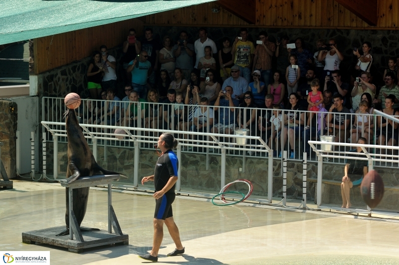 Állatparki programok augusztus 20-án