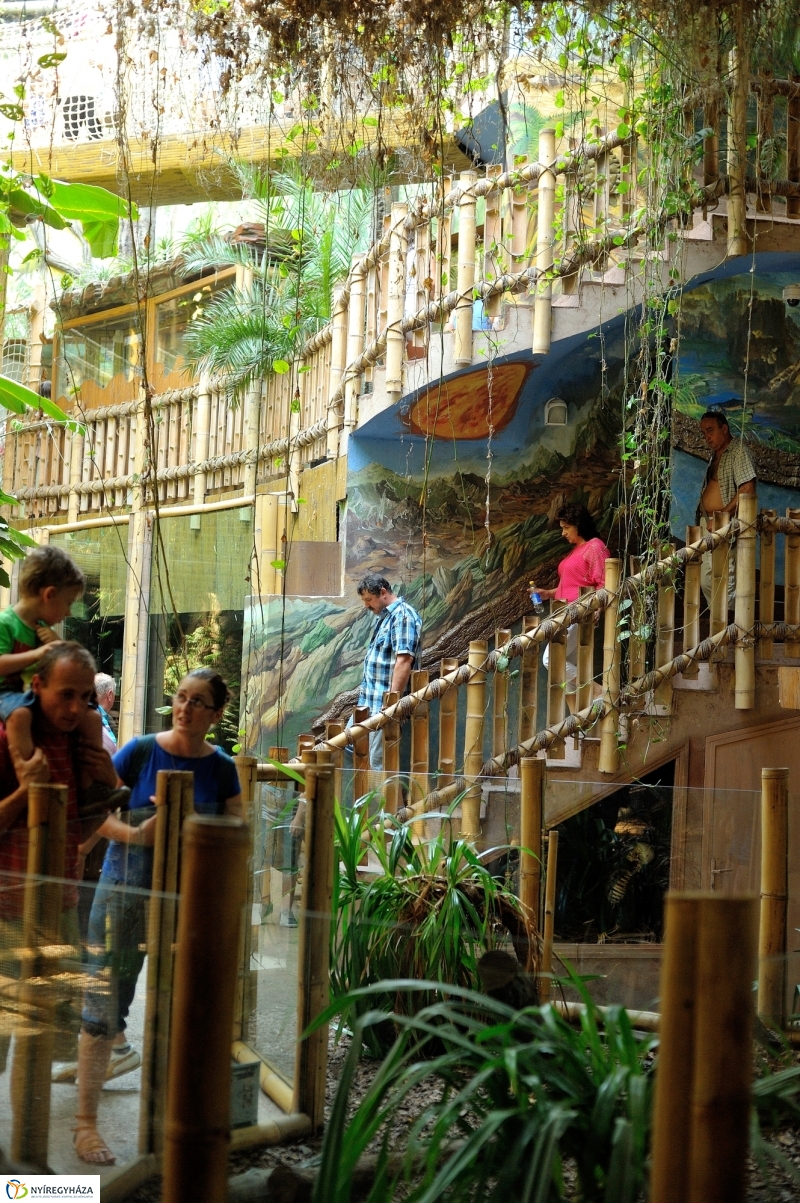 Állatparki programok augusztus 20-án