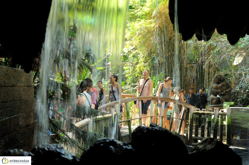 Állatparki programok augusztus 20-án