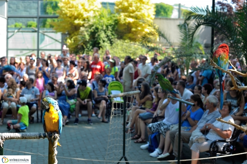 Állatparki programok augusztus 20-án