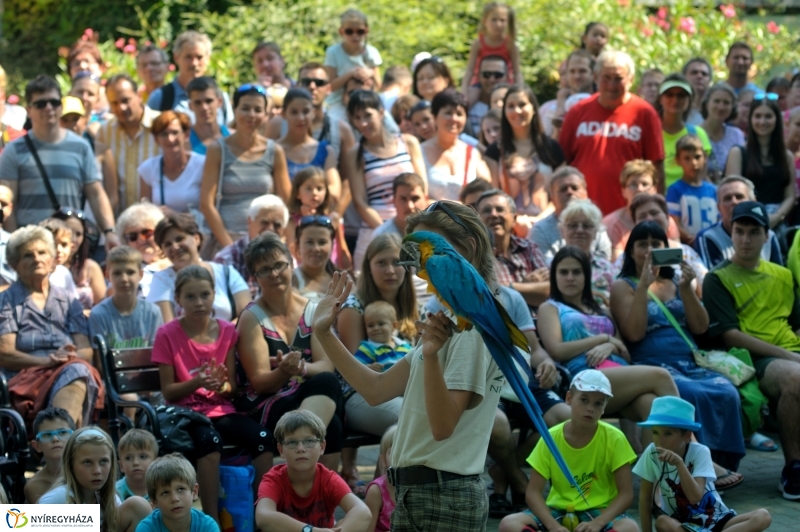Állatparki programok augusztus 20-án