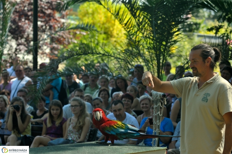 Állatparki programok augusztus 20-án